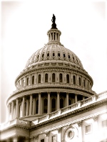 senate